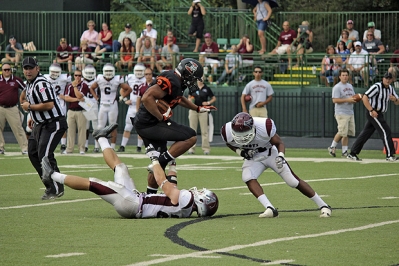 Boundary Tags on Horn PAP Concept