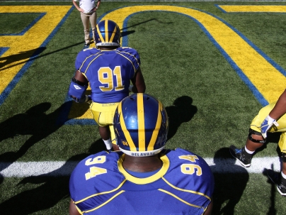 D Line Study: Case 1 – Shade Nose