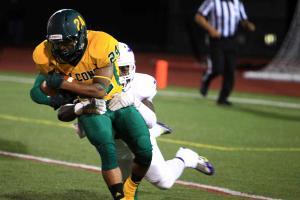 Attaching Quick Game to the Zone Read