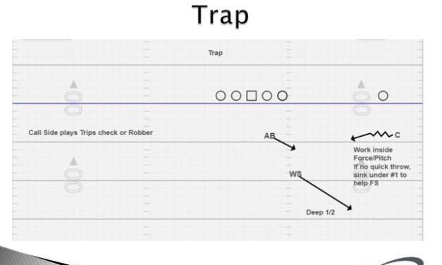 Trap and Cloud Coverages to Defend Trips