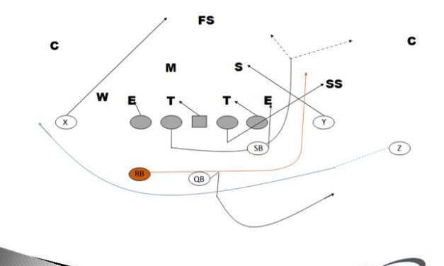 Shotgun Buck Sweep PAP