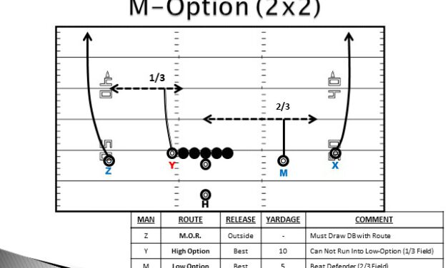 Building Pre-Snap Option Route Tags Based on Leverage