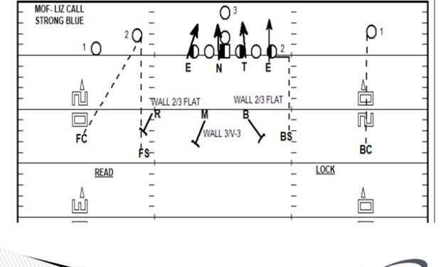 Blue Coverage From the 4-2-5 Defense