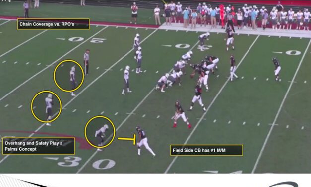 3 Palms Coverage Variations to Defend 3×1 RPO’s