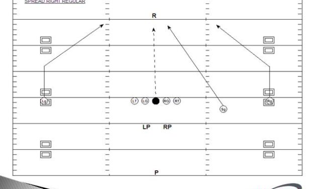 Using Multiple Formations for the Rugby Punt