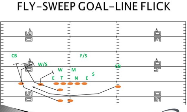 Situation: 5 Yard Line Going In… 1 Play to Win