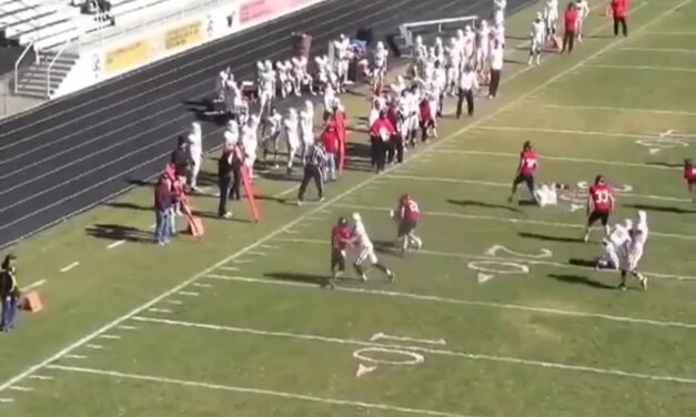 Bear Front- Montana Western