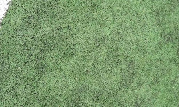 Block Destruct and Tackle (closed space)- Bridgewater College (VA)