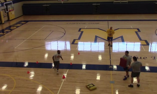 Buck Sweep Drill vs Playside Shade Defender- Middletown Area High School (PA)