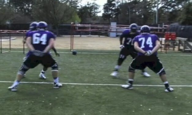 OL Set Punch Mirror Drill- ECU