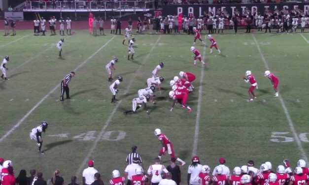 3×1 Stick RPO- Palmetto HS (FL)