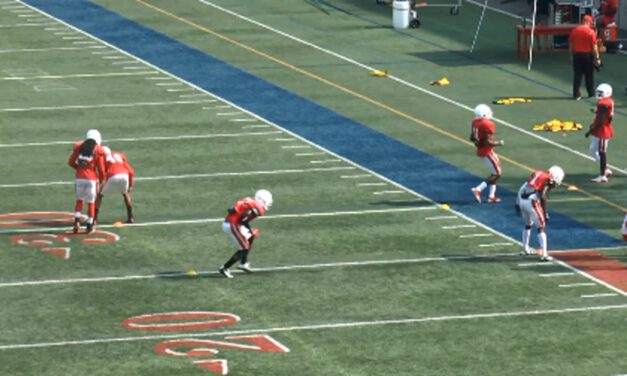 DB Pedal Technique- Stony Brook University