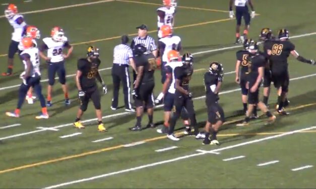 Four Vertical Concept- Hinsdale South HS