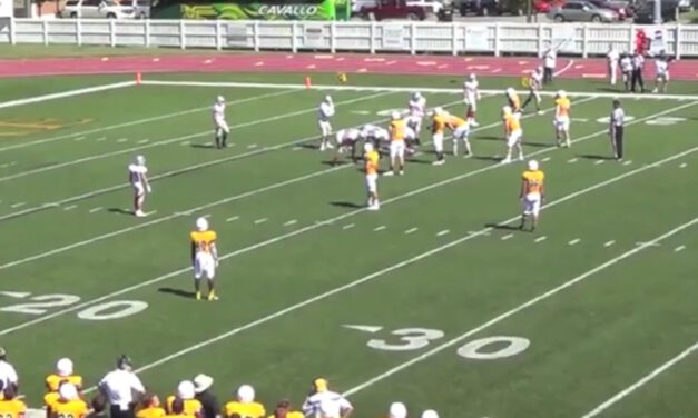 Four Vertical Concept- Washington University (MO)