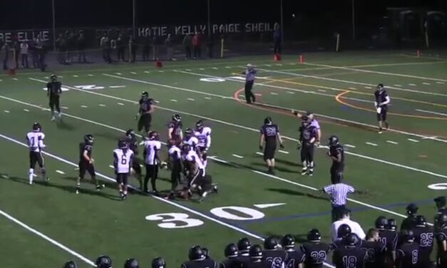 Pistol Zone Arc- Schmitt (1)