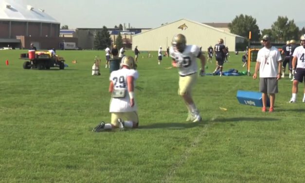 Quick Crawl Drill- Lindenwood University