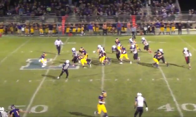 Quick Game RPO- Lakes Community HS (IL)