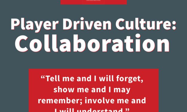 The Player Driven Culture System Case 1: Collaboration