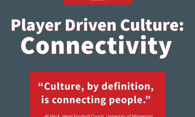 The Player Driven Culture System Case 2: Connectivity