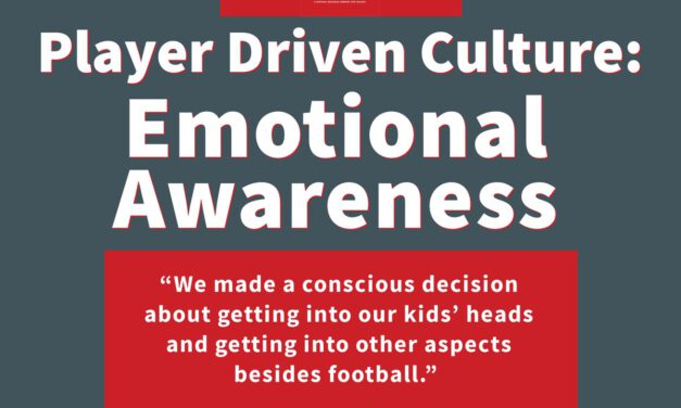 The Player Driven Culture System Case 4:  Emotional Awareness