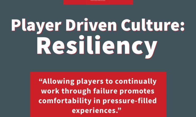 The Player Driven Culture System Case 6: Resiliency