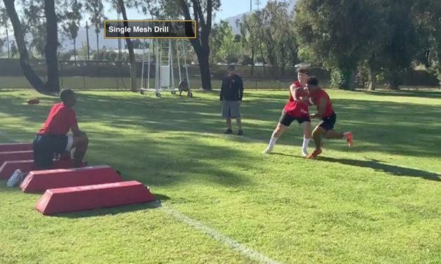 QB Decision Protocols in 12 Personnel Split Zone RPOs