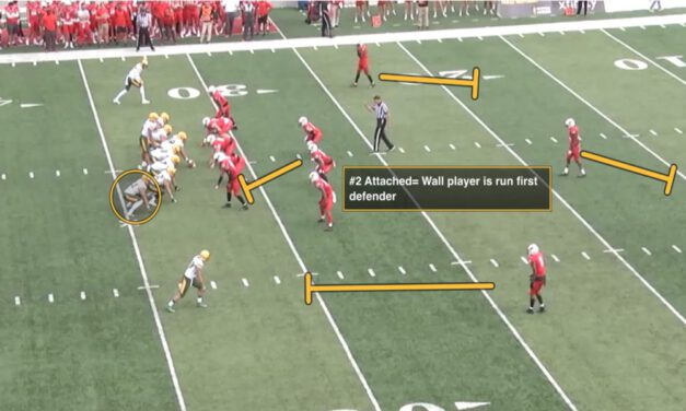 “Face” and “Lever” Concepts in 2-Trap Activations